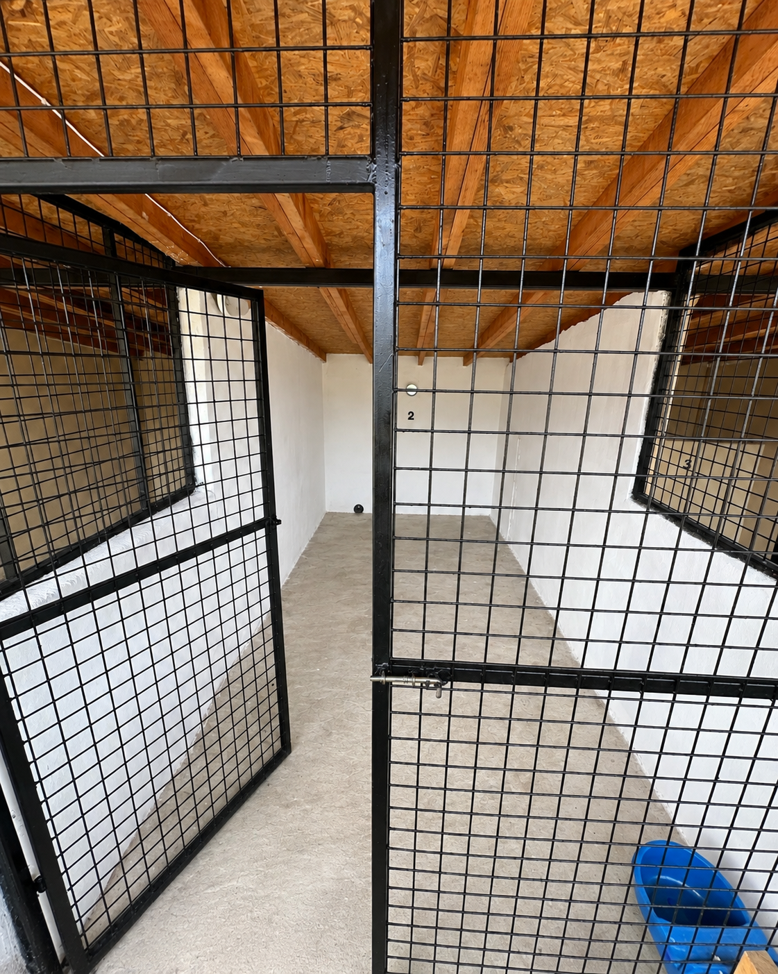 Kayrancık köpek konaklama alanı kafes 2