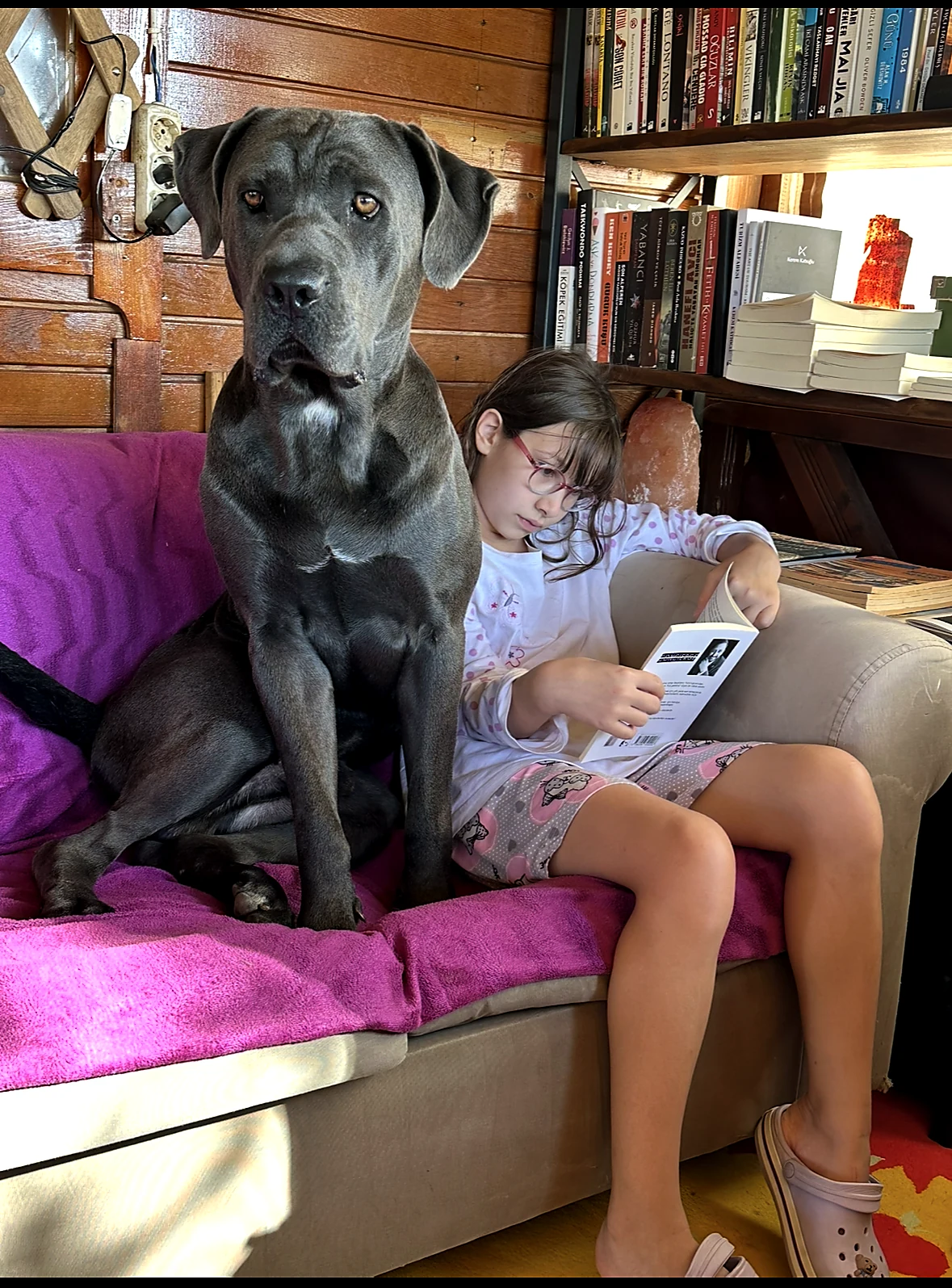 Kayrancık Çiftlik Evi’nde köpeklerle doğal aile yaşamı